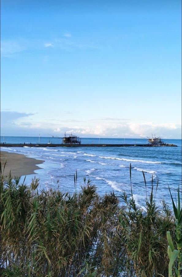 Magnolia Casa Di Campagna Costa Dei Trabocchi Rocca San Giovanni Eksteriør billede